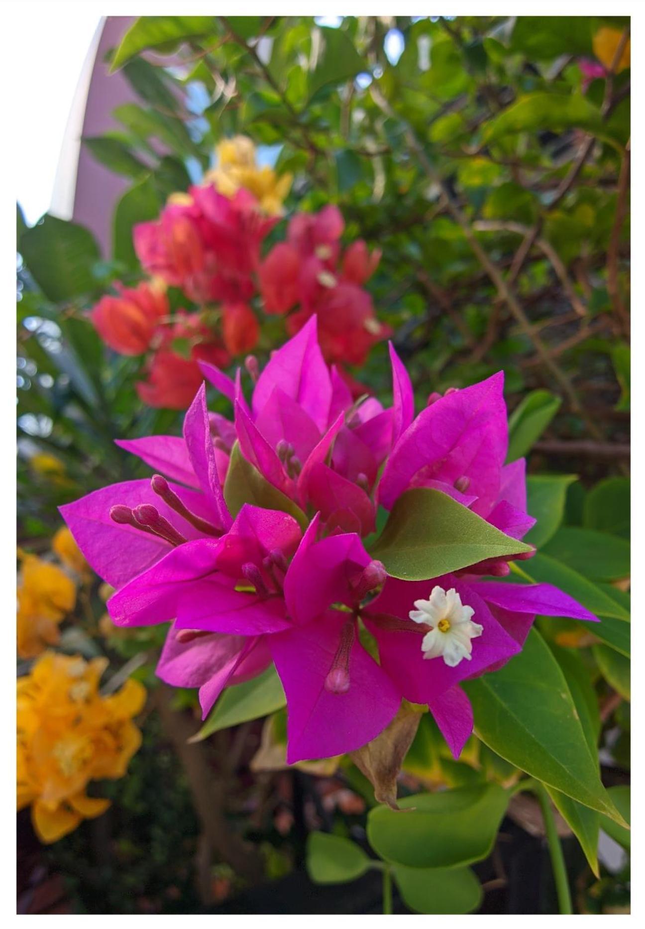 3B Apartment-Sha Extra Plus หาดกมลา ภายนอก รูปภาพ