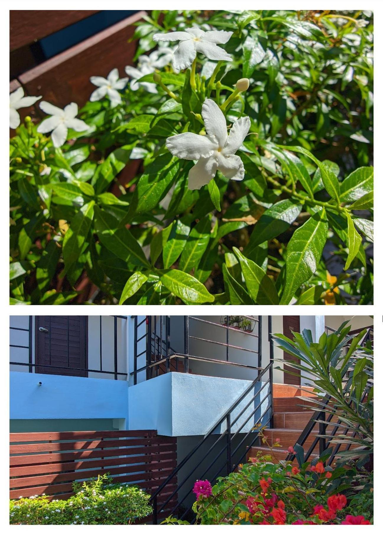 3B Apartment-Sha Extra Plus หาดกมลา ภายนอก รูปภาพ